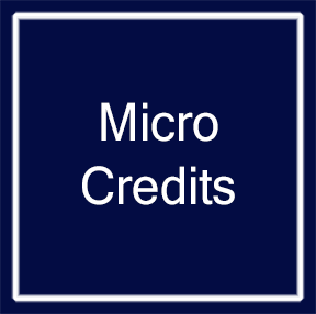 VentureDocs Micro Credits Pack
